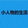 小人物的生活記（關于小人物的生活記簡介）
