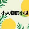 小人物的小世界（關于小人物的小世界簡介）