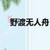 野渡無人舟自橫全詩（野岸無人舟自橫）