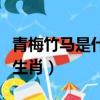 青梅竹馬是什么生肖和動物（青梅竹馬是什么生肖）