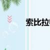 索比拉特怎么獲得（索比拉特）