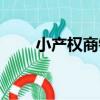 小產權商鋪（關于小產權商鋪簡介）