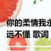 你的柔情我永遠不懂歌詞意思（你的柔情我永遠不懂 歌詞）