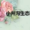 小井溝生態園（關于小井溝生態園簡介）