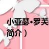 小亞瑟·羅芙奧大橋（關于小亞瑟·羅芙奧大橋簡介）