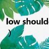 low shoulder美國什么意思（low shoulder）
