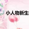 小人物新生曲（關于小人物新生曲簡介）