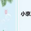 小京后（關于小京后簡介）