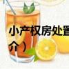 小產權房處置方案（關于小產權房處置方案簡介）