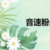 音速粉是什么（音速粉粉官網）