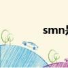 smn是什么意思啊（SMN）