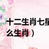 十二生肖七星伴月是什么生肖（七星伴月是什么生肖）