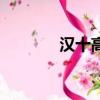 漢十高鐵線路圖（漢十高鐵）