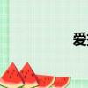 愛掛網代掛（愛掛網）
