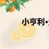 小亨利·金（關于小亨利·金簡介）