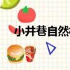 小井巷自然村（關于小井巷自然村簡介）