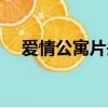愛情公寓片頭曲名字（愛情公寓片頭曲）