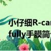 小仔細R-carefully手膜（關于小仔細R-carefully手膜簡介）