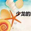 少龍的回憶伴奏（少龍的回憶）