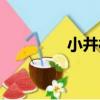 小井村（關于小井村簡介）