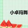 小卓瑪舞蹈教學視頻（小卓瑪舞蹈）