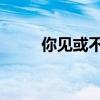 你見或不見作者（見或不見 作者）