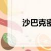 沙巴克密道怎么走（沙巴克密道）