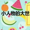 小人物的大世界（關于小人物的大世界簡介）