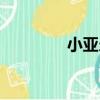 小亞當（關于小亞當簡介）