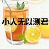 小人無以測君子（關于小人無以測君子簡介）