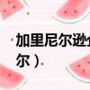 加里尼爾遜企業DNA四個基本要素（加里尼爾）