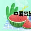 中國智慧英語演講稿（中國智慧）