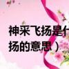 神采飛揚是什么意思應該是神采飛揚（神采飛揚的意思）