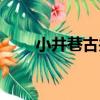 小井巷古井（關于小井巷古井簡介）