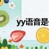yy語音是什么意思（yy語音是什么）
