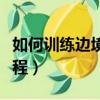如何訓練邊境牧羊犬聽話（邊境牧羊犬訓練教程）