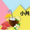 小井上（關于小井上簡介）
