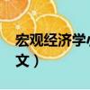 宏觀經濟學小論文1000字（宏觀經濟學小論文）