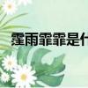 霔雨霏霏是什么意思（霪雨霏霏什么意思）