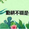 勤耕不輟是什么意思（筆耕不輟的意思）