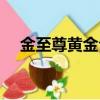 金至尊黃金今日價格（金至尊黃金價格）
