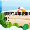 綠樹紅果豐收期是指什么生肖豐（綠樹紅果豐收期是什么生肖）