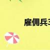 雇傭兵33十大最佳（雇傭兵33）