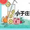 小于莊村（關于小于莊村簡介）