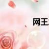 網王之淡定（網王之雅渡）