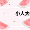 小人大傳（關于小人大傳簡介）