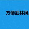 方便武林風最后一場比賽（方便武林風）