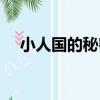 小人國的秘密（關于小人國的秘密簡介）