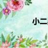 小二黑（關于小二黑簡介）