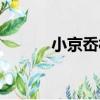 小京岙村（關于小京岙村簡介）